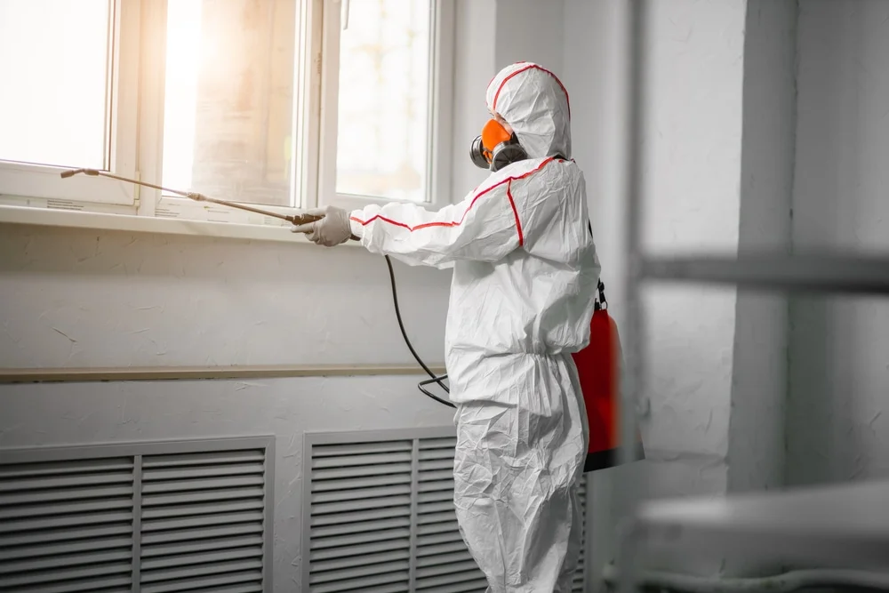 Professional mold remediation services in Old Saybrook, CT